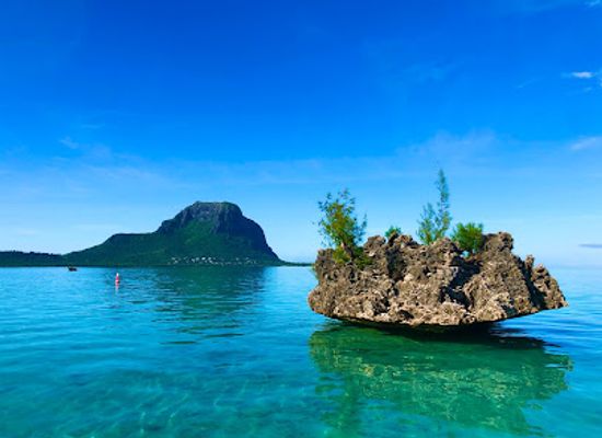 mauritius/le-morne/landmark/matteo-mauritius-dolphins-excursions