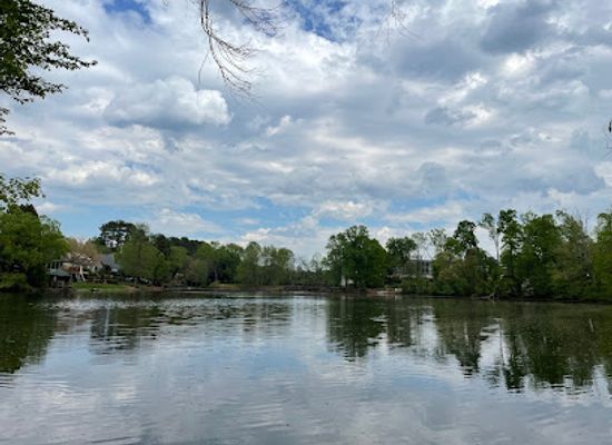 north-carolina/greensboro/landmark/the-bog-garden-at-benjamin-park
