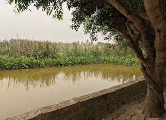 togo/mount-agou-area/landmark/fauna-cultura