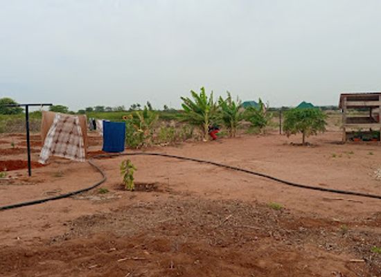 tanzania/dodoma/landmark/geological-survey-of-tanzania