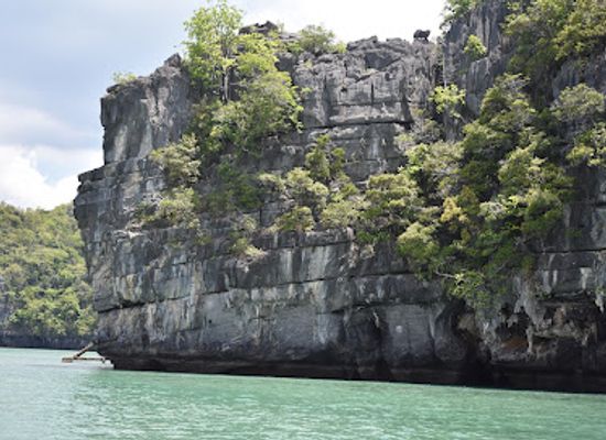 malaysia/langkawi/landmark/tanjung-rhu-mangrove-tour