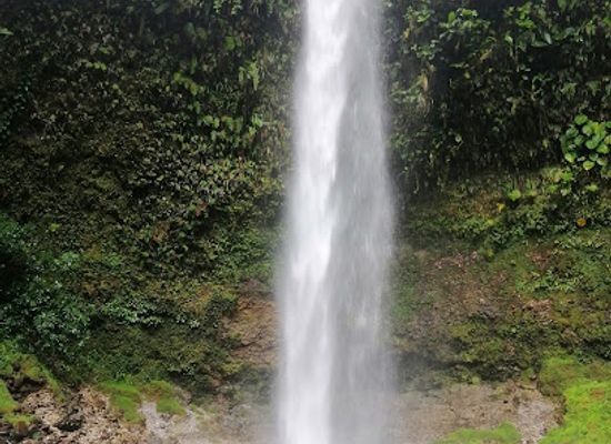ecuador/oriente/landmark/the-crock