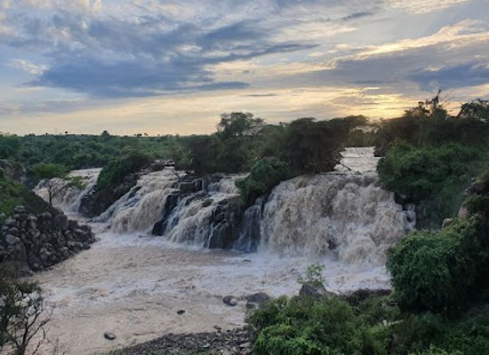 ethiopia/mago-national-park/landmark/awash-national-park