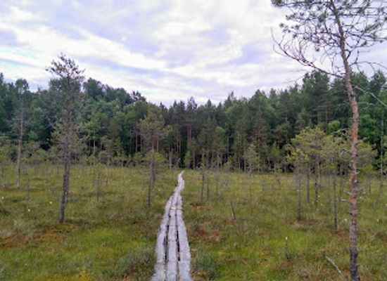 latvia/latgale/landmark/andrupenes-purva-taka