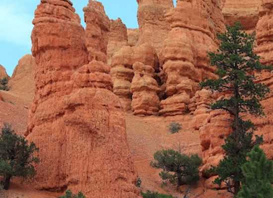 utah/flaming-gorge-national-recreation-area/landmark/swett-ranch-historical-homestead