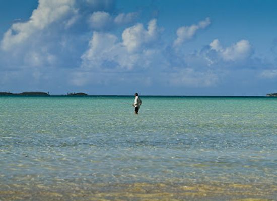 the-bahamas/harbour-island/landmark/rock-house-hotel-and-restaurant