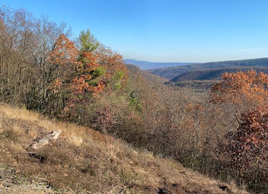 pennsylvania/happy-valley/landmark/bald-eagle-state-forest