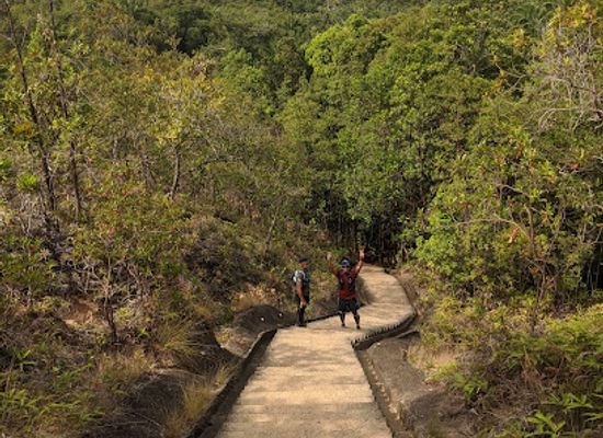 brunei/pulau-selirong-forest-reserve/landmark/bukit-shahbandar-forest-recreation-park