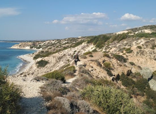 cyprus/akamas-peninsula/landmark/ranti-forest-beach