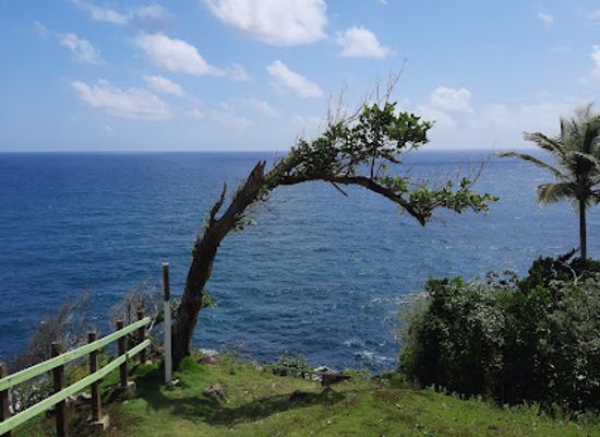 dominica/saint-david/landmark/l-escalier-tete-chien