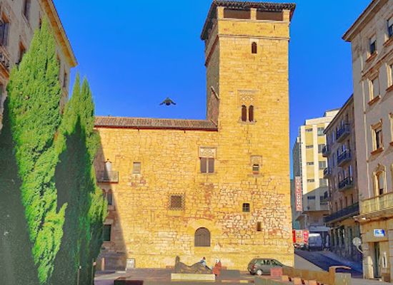 spain/salamanca/centro/landmark/palacio-de-los-fermoselle