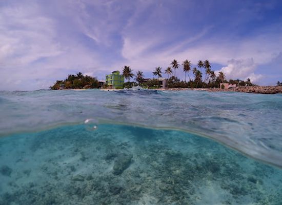 maldives/guraidhoo-island/landmark/manta-divers-maldives