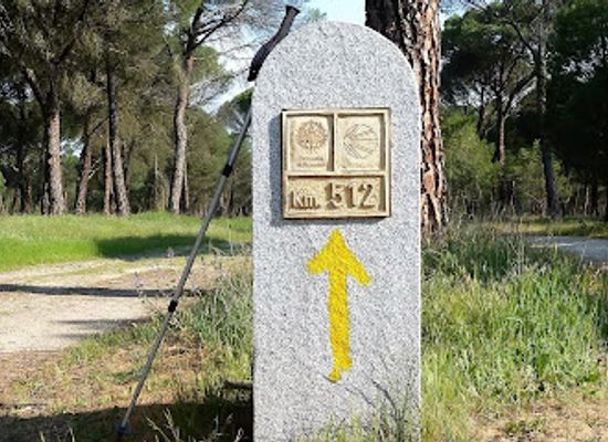 spain/castile-and-leon/landmark/camino-de-santiago-de-madrid