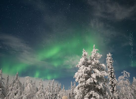 finland/rovaniemi/landmark/arctic-explore-tours