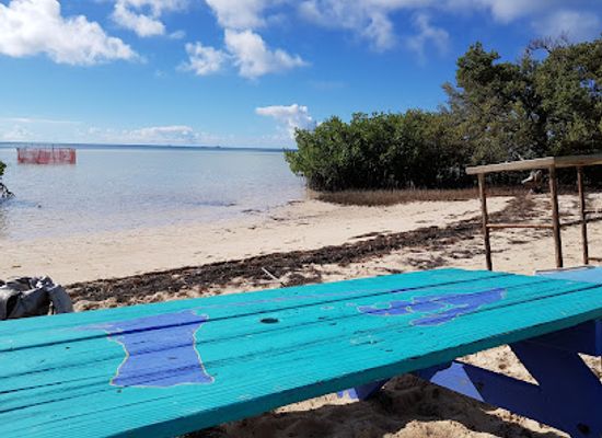 the-bahamas/bimini/landmark/bimini-biological-field-station