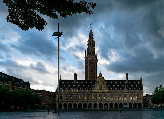 belgium/duchy-of-brabant/landmark/jan-fabre-s-beetle-totem