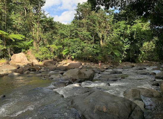 puerto-rico/el-yunque-national-forest/landmark/vereda-angelito