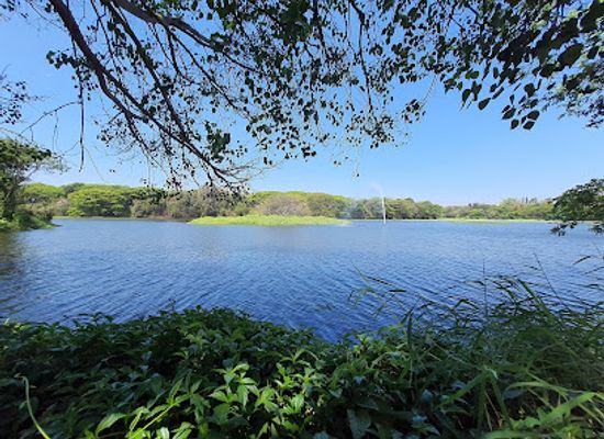 india/mysore/landmark/karanji-lake-park-boating-birds-sanctuary