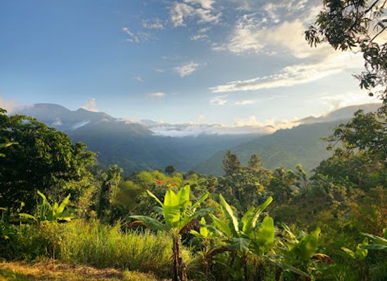 jamaica/john-crow-mountains/landmark/blue-mountains-national-park