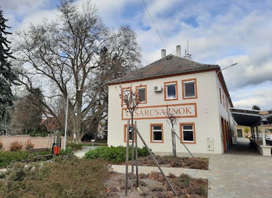 hungary/koszeg-mountains/landmark/koszegi-oriasplatan