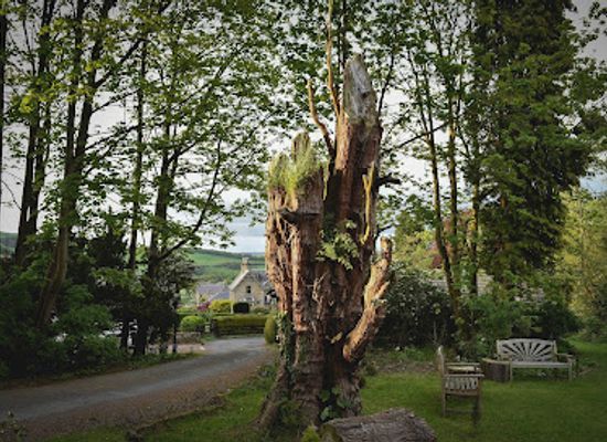 united-kingdom/selkirkshire/landmark/tress-of-the-kings