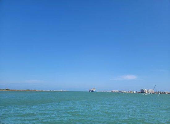 texas/port-aransas/landmark/scarlet-lady-dolphin-adventures
