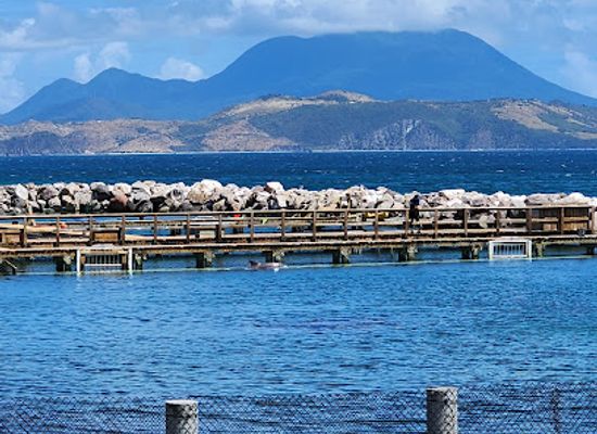 saint-kitts-and-nevis/newcastle/landmark/dolphin-discovery-saint-kitts