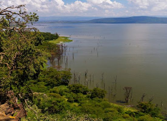 kenya/nakuru/landmark/lake-nakuru
