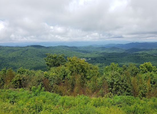 alabama/appalachian-mountains/landmark/sassafras-mountain