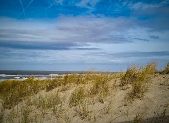netherlands/egmond-aan-zee/landmark/starrevlak
