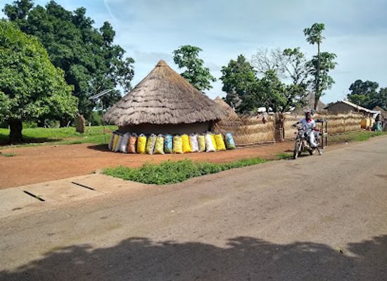guinea/mamou-region/landmark/national-park-of-upper-niger