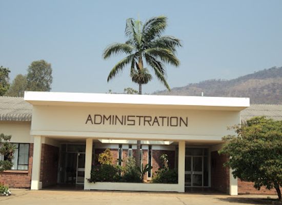zimbabwe/mutare/landmark/zimbabwe-college-of-forestry