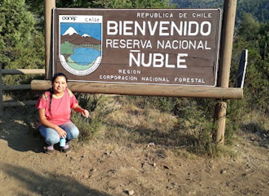 chile/nuble-region/landmark/nuble-national-reserve