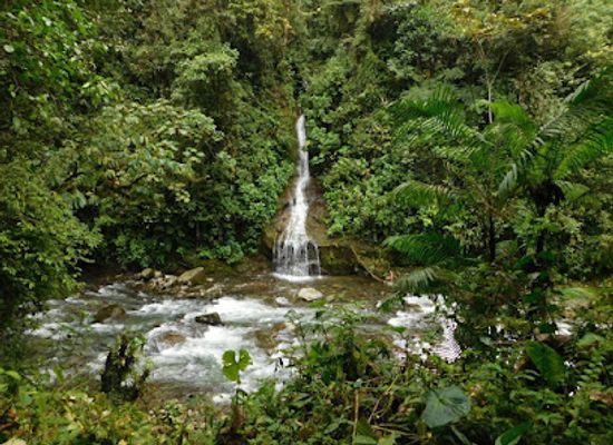 ecuador/oriente/landmark/cascadas-de-nambillo