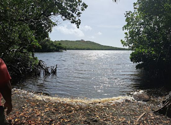 puerto-rico/big-island/landmark/reserva-natural-cabezas-de-san-juan-para-la-naturaleza
