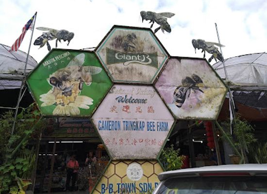 malaysia/pahang/landmark/cameron-tringkap-bee-farm