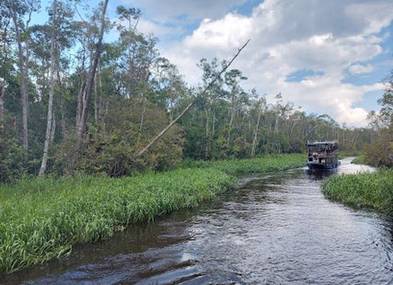 indonesia/central-kalimantan/landmark/taman-nasional-tanjung-puting