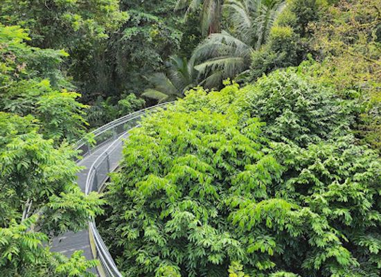 singapore/southern-ridges/landmark/earth-trail