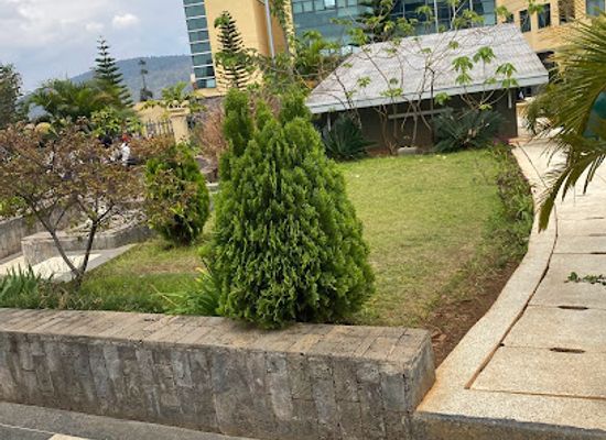 rwanda/nyabarongo-river/landmark/imfura-park