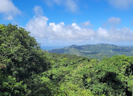 saint-lucia/choiseul/landmark/rainforest-adventures-st-lucia