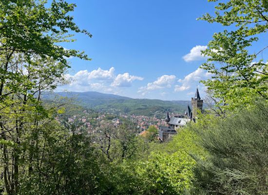 germany/harz/landmark/stempelstelle-hwn-31agnesberg