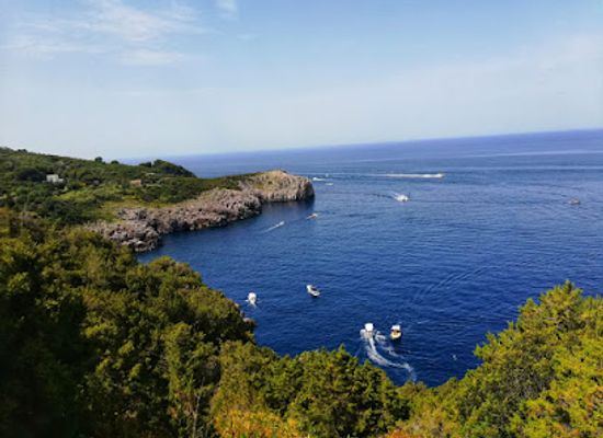 italy/capri/landmark/mesola-fort