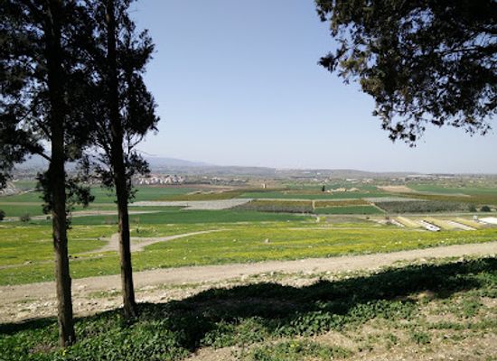 israel/jezreel-valley/landmark/shimron