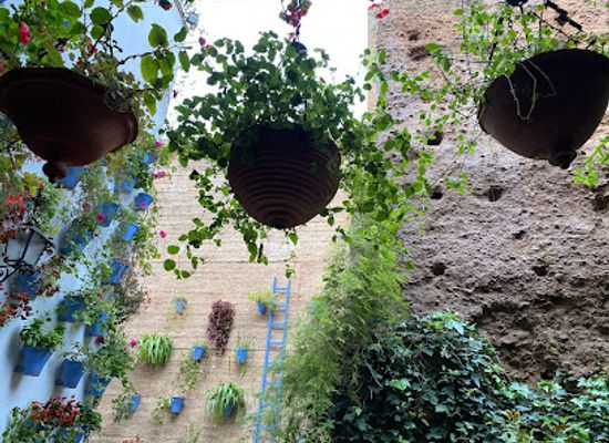 spain/cordoba/san-basilio/landmark/patio-tipico-de-cordoba-barrio-de-san-basilio