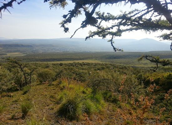 kenya/mount-elgon-national-park/landmark/mount-longonot-national-park