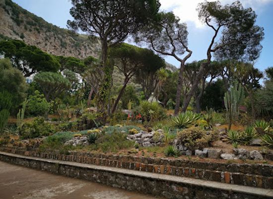 gibraltar/st-michael-s-cave/landmark/gibraltar-botanic-gardens