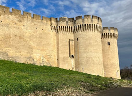 france/avignon/pont-saint-benezet/landmark/fort-saint-andre