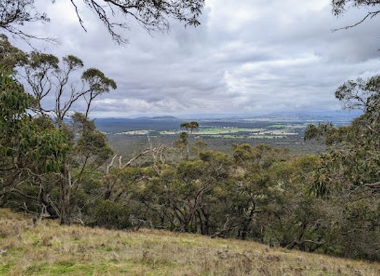 australia/the-grampians/landmark/one-tree-hill-lookout