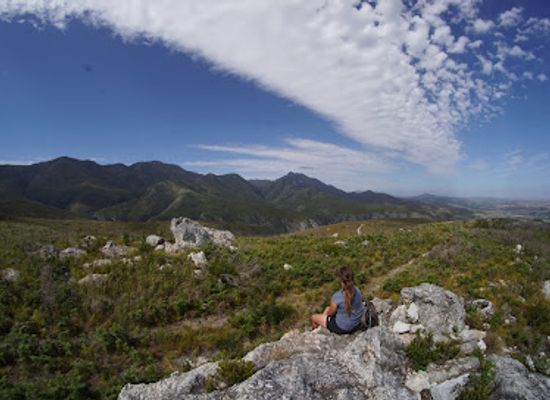 south-africa/little-karoo/landmark/grootvadersbosch-nature-reserve