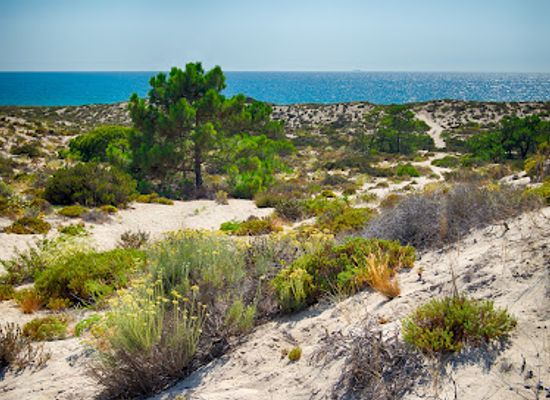portugal/alentejo/landmark/praia-da-comporta